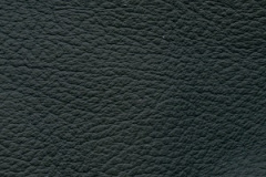 Birch-Black