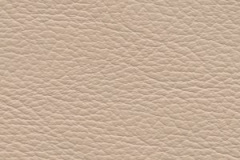 Birch-Blush-Beige