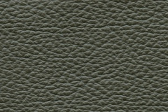 Birch-Brown