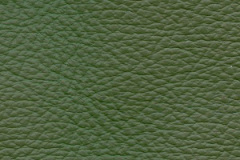 Birch Lime