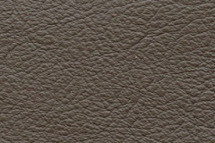 Birch-Mocha