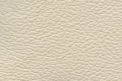 Birch-Porcelain