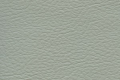 Birch-Silver-Grey