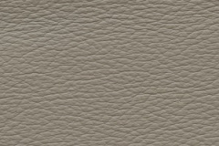 Birch-Taupe