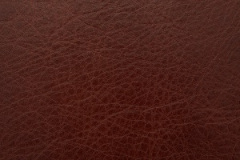 OldEnglish-Chestnut
