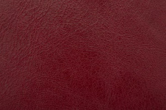 OldEnglish-Gamay