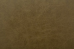 OldEnglish-Olive
