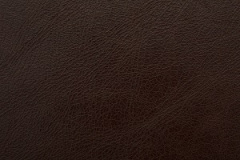 OldEnglish-RedBrown