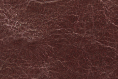 Rimini-Oxblood