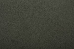 Selvaggio-ForestGreen