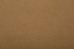 Selvaggio-Parchment